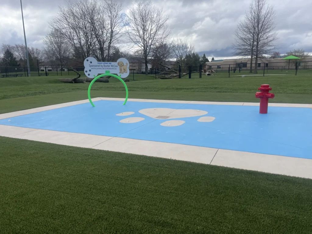 artificial dog grass