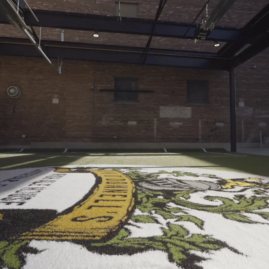 artificial turf fort wayne