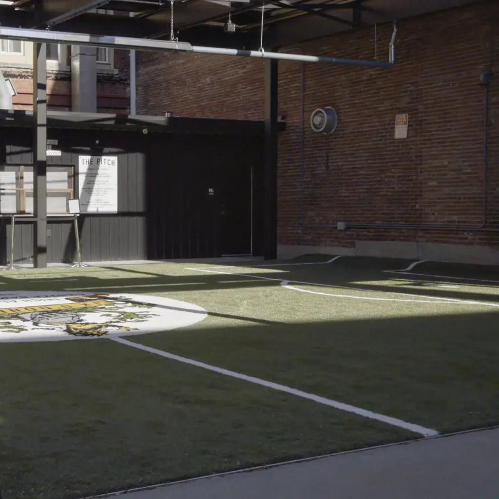 artificial turf fort wayne